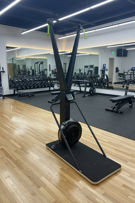 Ski Exercise Machine Indoor Equipment Aerobic Wind Resistance Strength Training Home Gym Phoenix Fitness