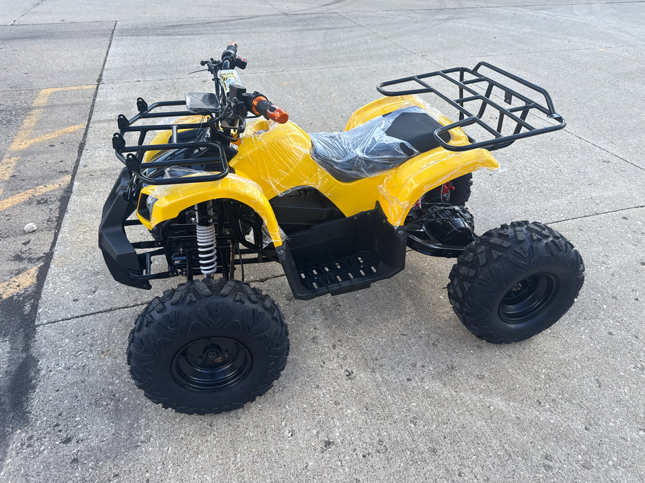 1200 Watt Electric ATV Shaft Drive Brushless Motor