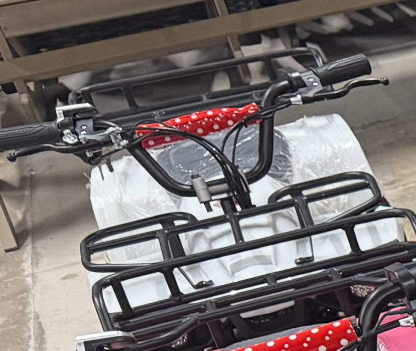 Electric Kids Four Wheelers Quad ATV 500 Watt 36 Volt