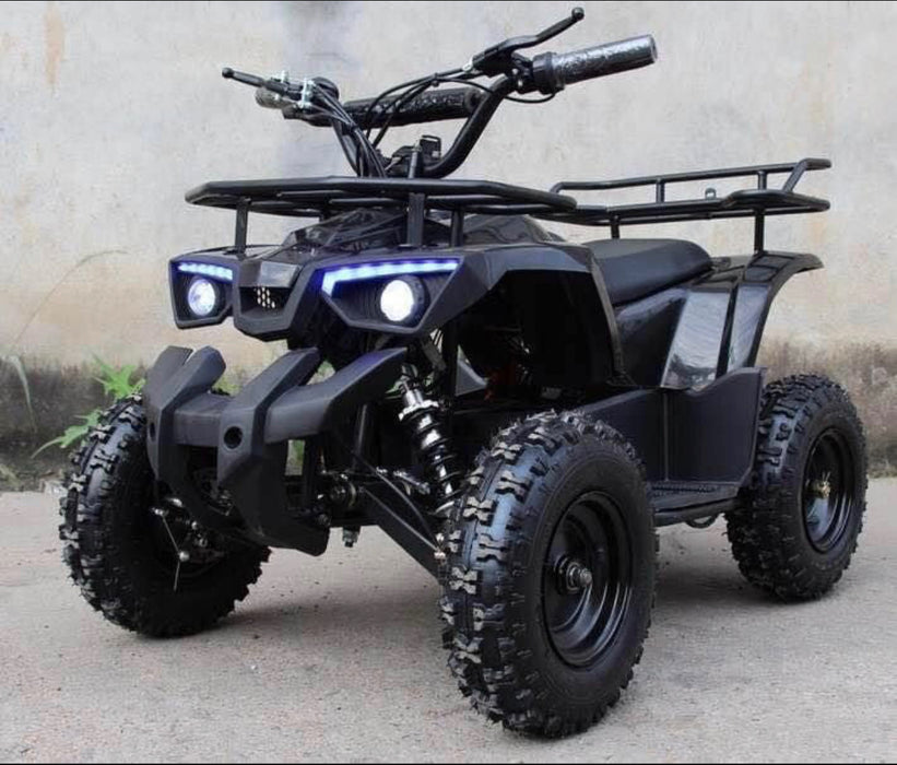 Electric Kids Four Wheelers Quad ATV 500 Watt 36 Volt