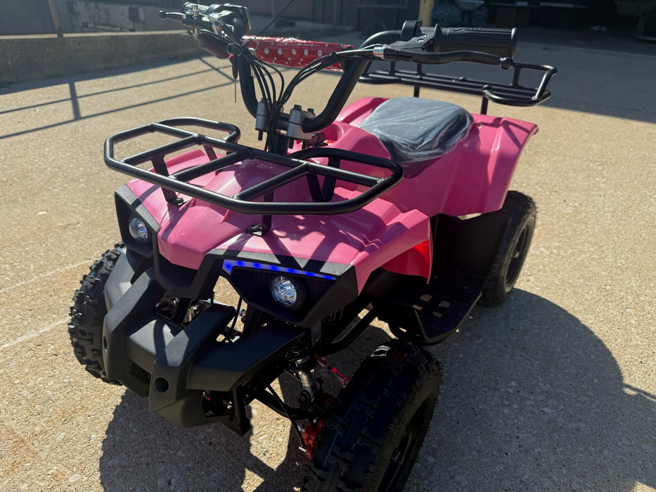 Electric Kids Four Wheelers Quad ATV 500 Watt 36 Volt