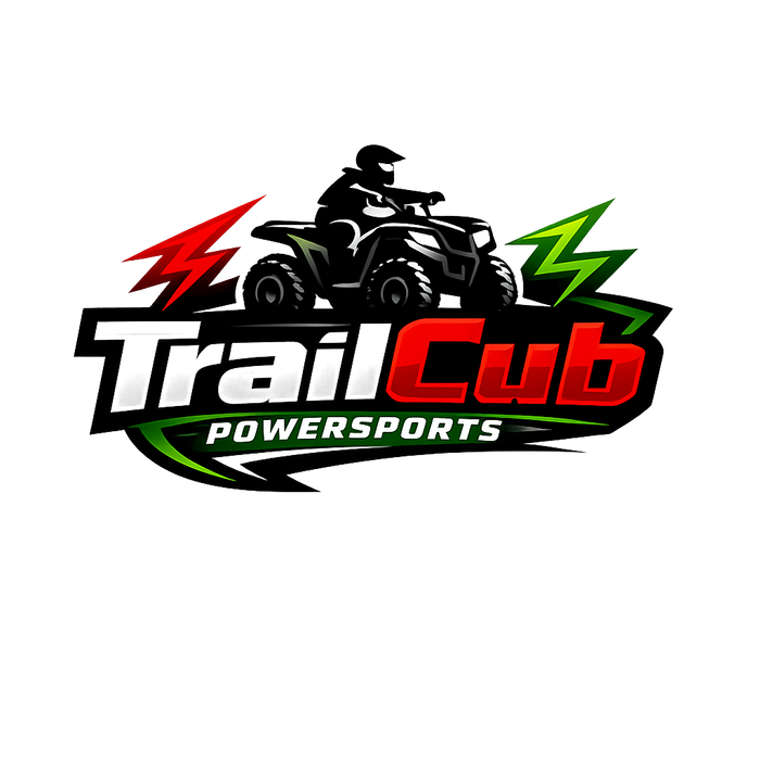 Cyber Electric Kids Four Wheelers Quad ATV 500 Watt 36 Volt